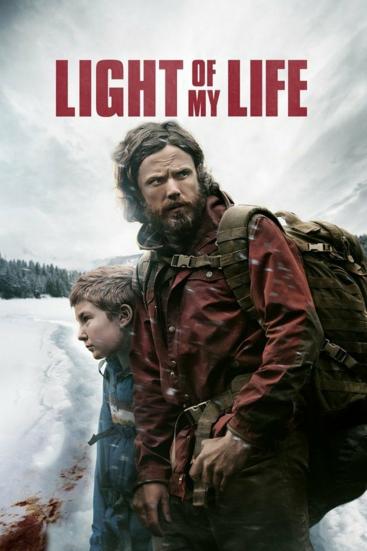 Light of my Life | Aangrijpende survivalthriller Afbeelding behorende bij Light of my Life